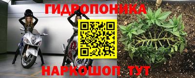 тгк Камышлов