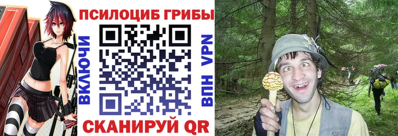 сколько стоит  Добрянка  Галлюциногенные грибы мицелий 
