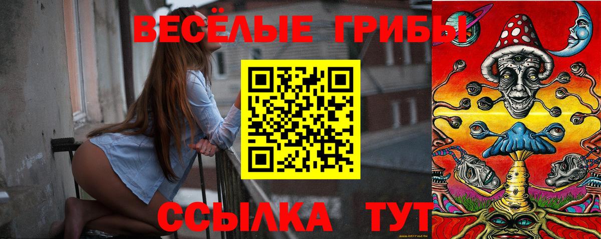 Псилоцибиновые грибы прущие грибы Добрянка